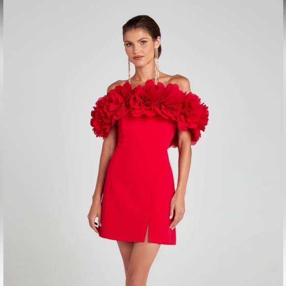 Nadine Merabie Renee Red Dress Size Small - Picture 1 of 4